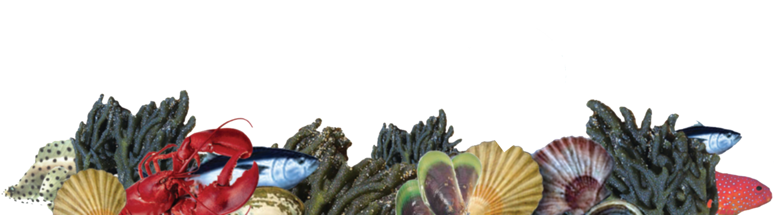 Aqua Gardens - live, or fresh and natural seafood, consistent quality, delivered daily, to your door